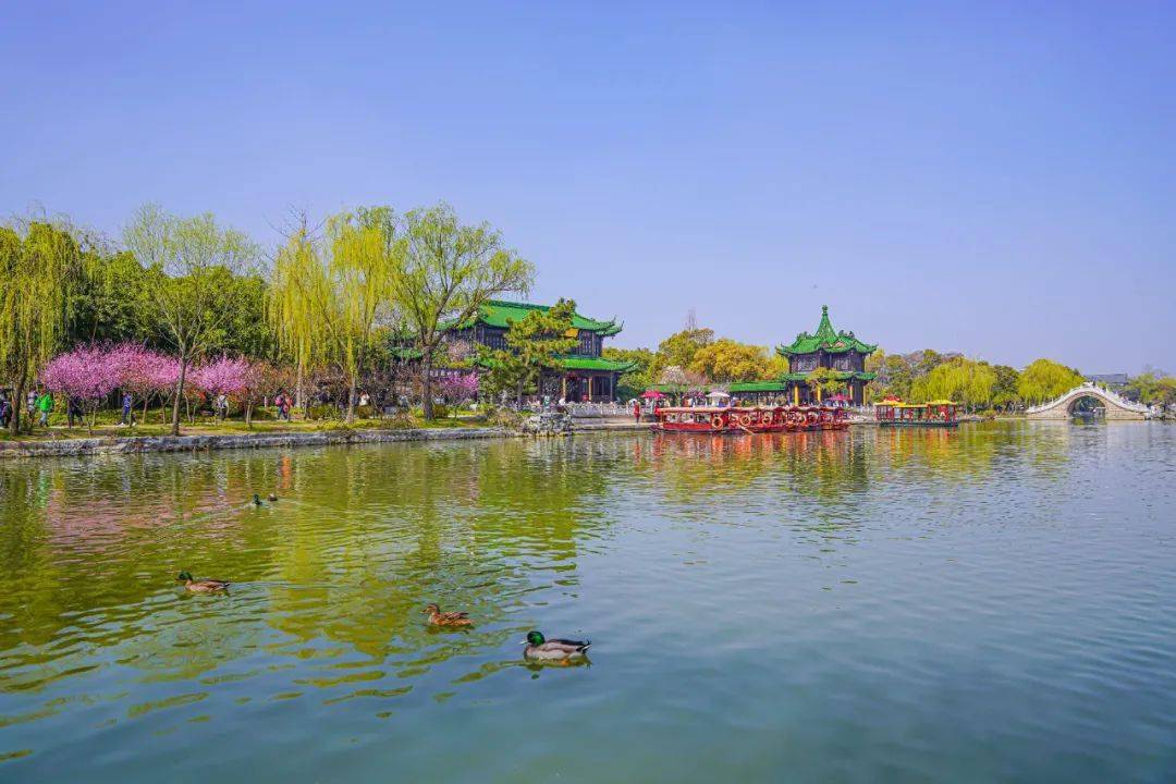 在瘦西湖所有的美好总是与春天环环相扣