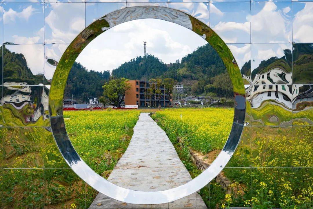 德化曾坂的春天油菜花开美如画