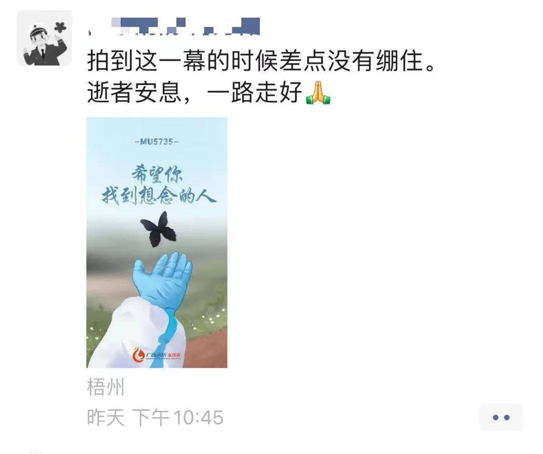 “坠机现场飘落黑蝴蝶”拍摄者：一瞬间想起了黑色蝴蝶结发圈