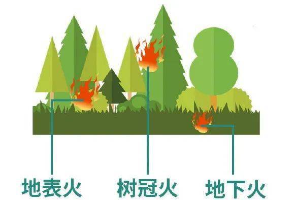 森林防火示意图图片