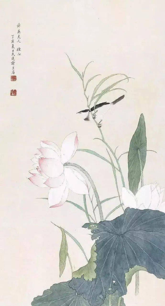 20位名家笔下最工笔画荷花50图一次看够