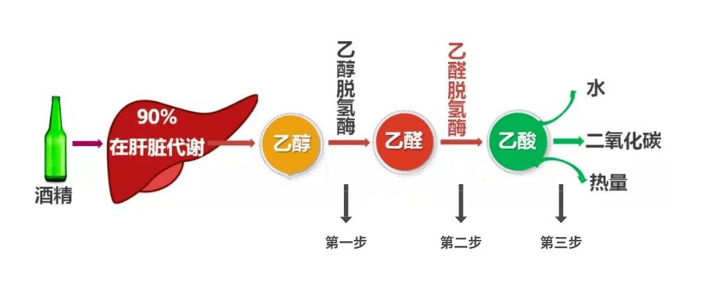 江西5旬男子喝酒30年,总结了5条白酒"谣言",看完别再被骗了