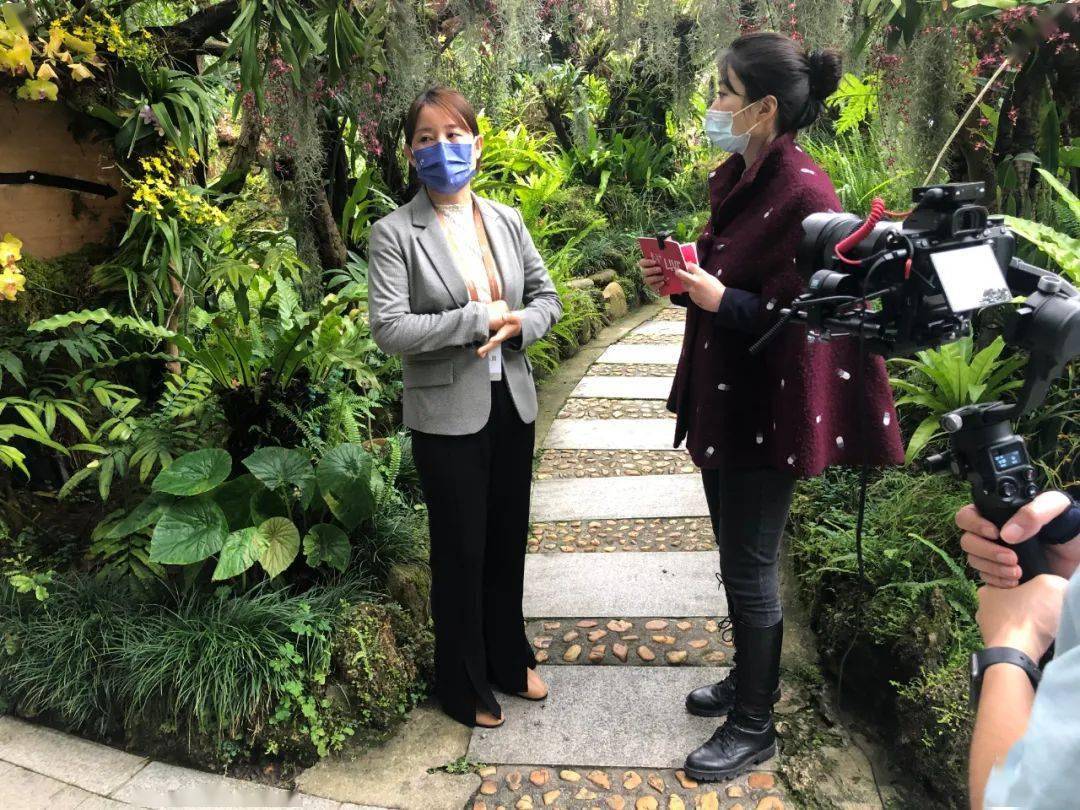 传媒直播报道人文园林2022粤港澳大湾区深圳花展3大展园_杜鹃_蔚山