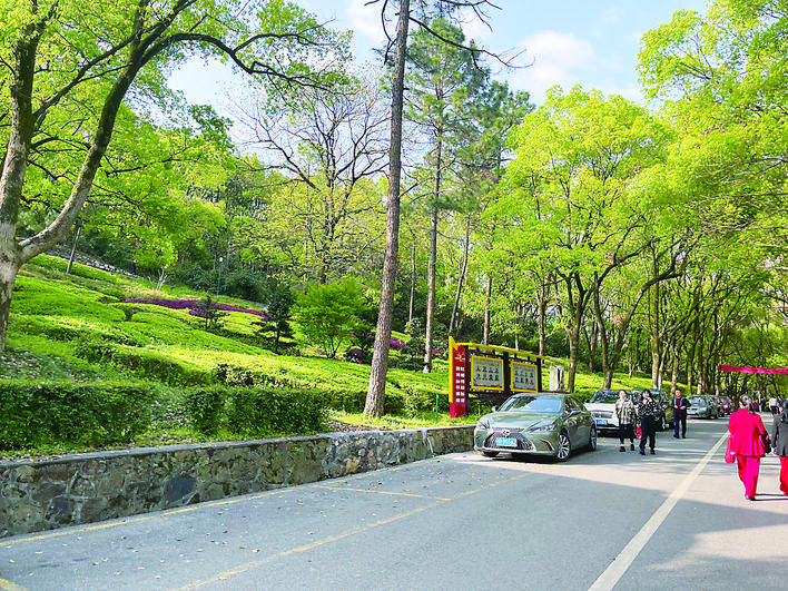 石峰公园将升级为株洲植物园