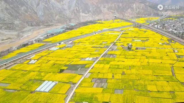 角弓镇绘好三种底色擘画振兴蓝图