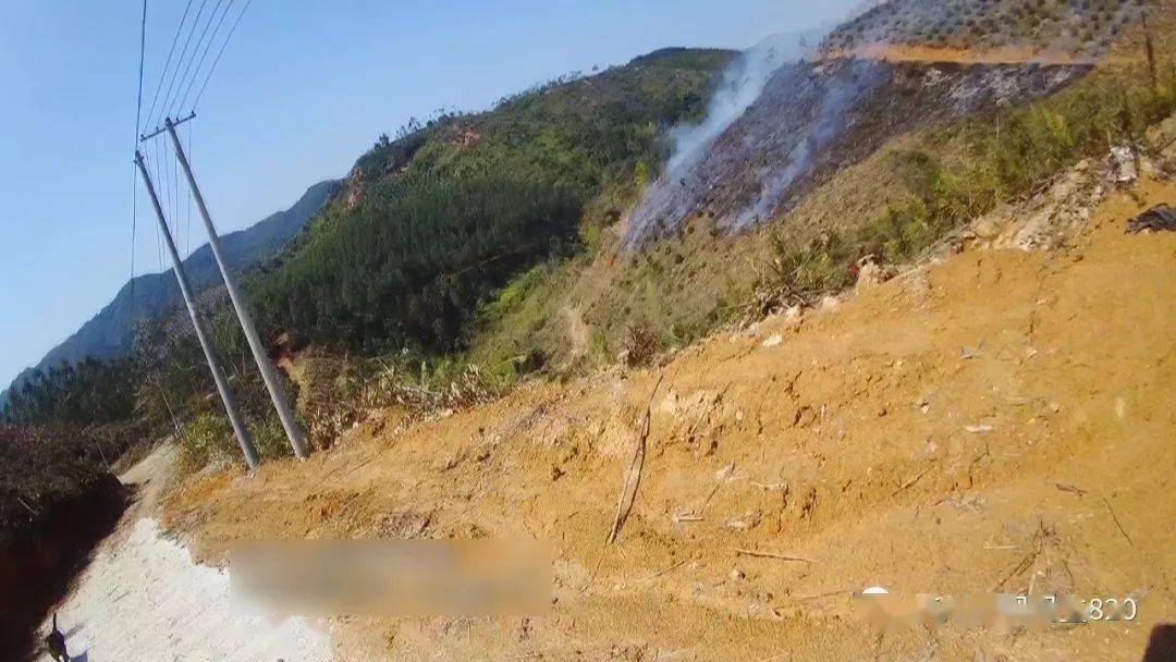 抓抓抓五华这几名男子放火烧山