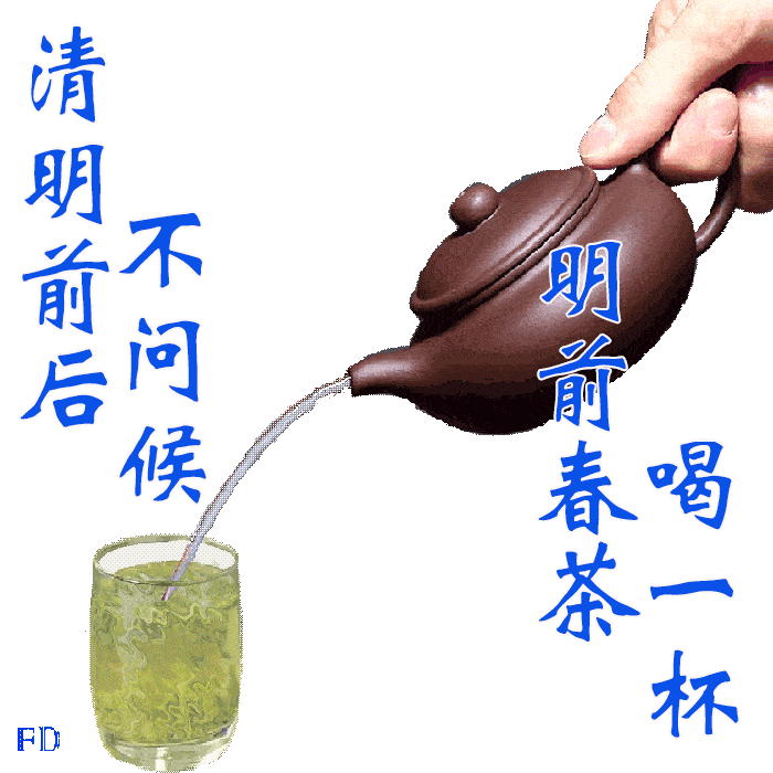 早上好表情包,清明前后只打招呼不问候,送上早茶表心意!