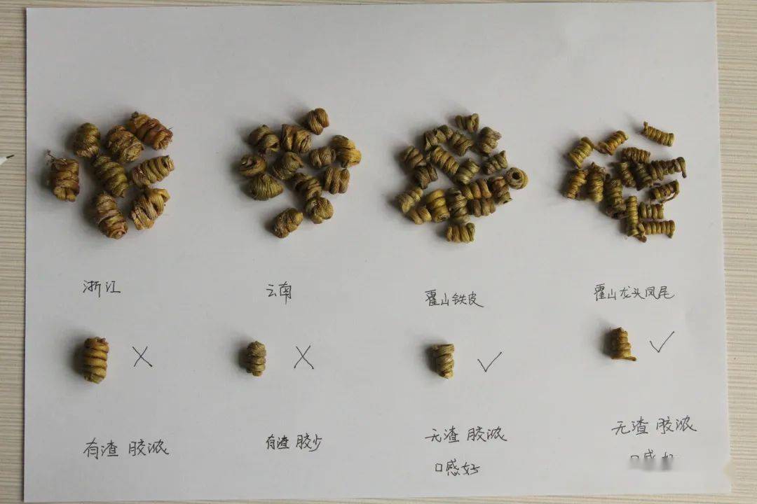 有九大仙草之称的石斛有什么功效