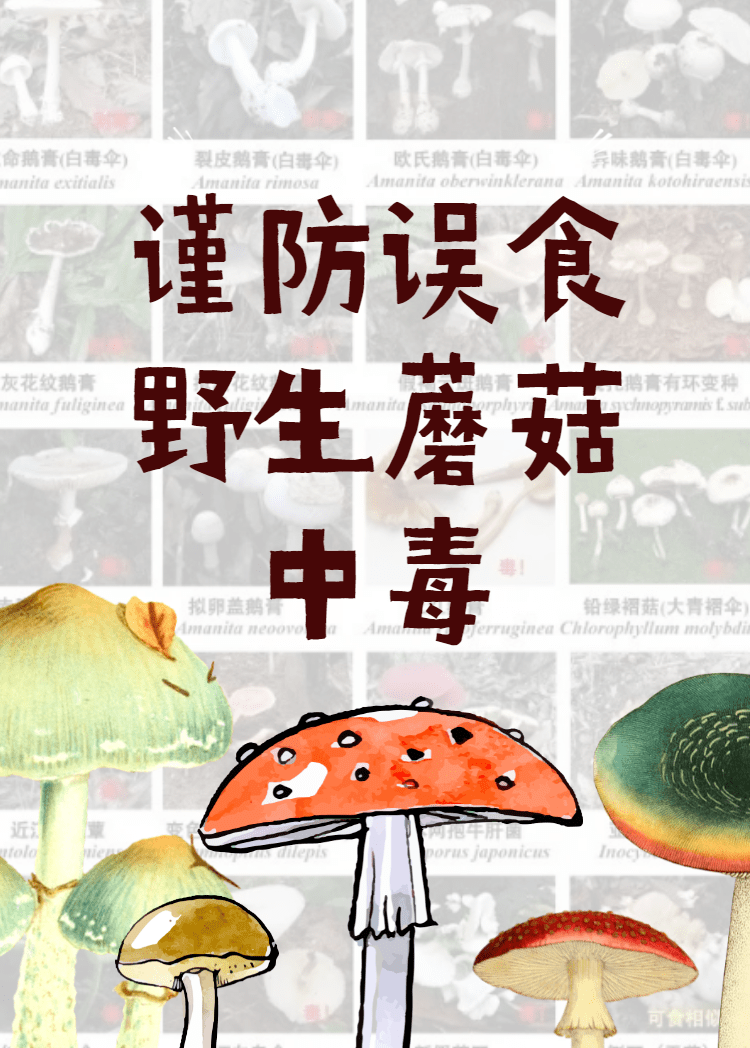 危险危险危险看到野生蘑菇请远离