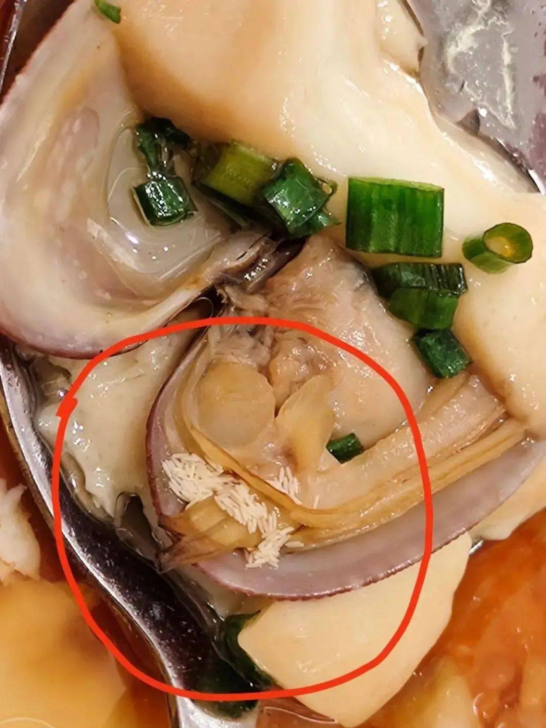 令人作呕印象抚州游园惊梦店菜里惊现一团蛆