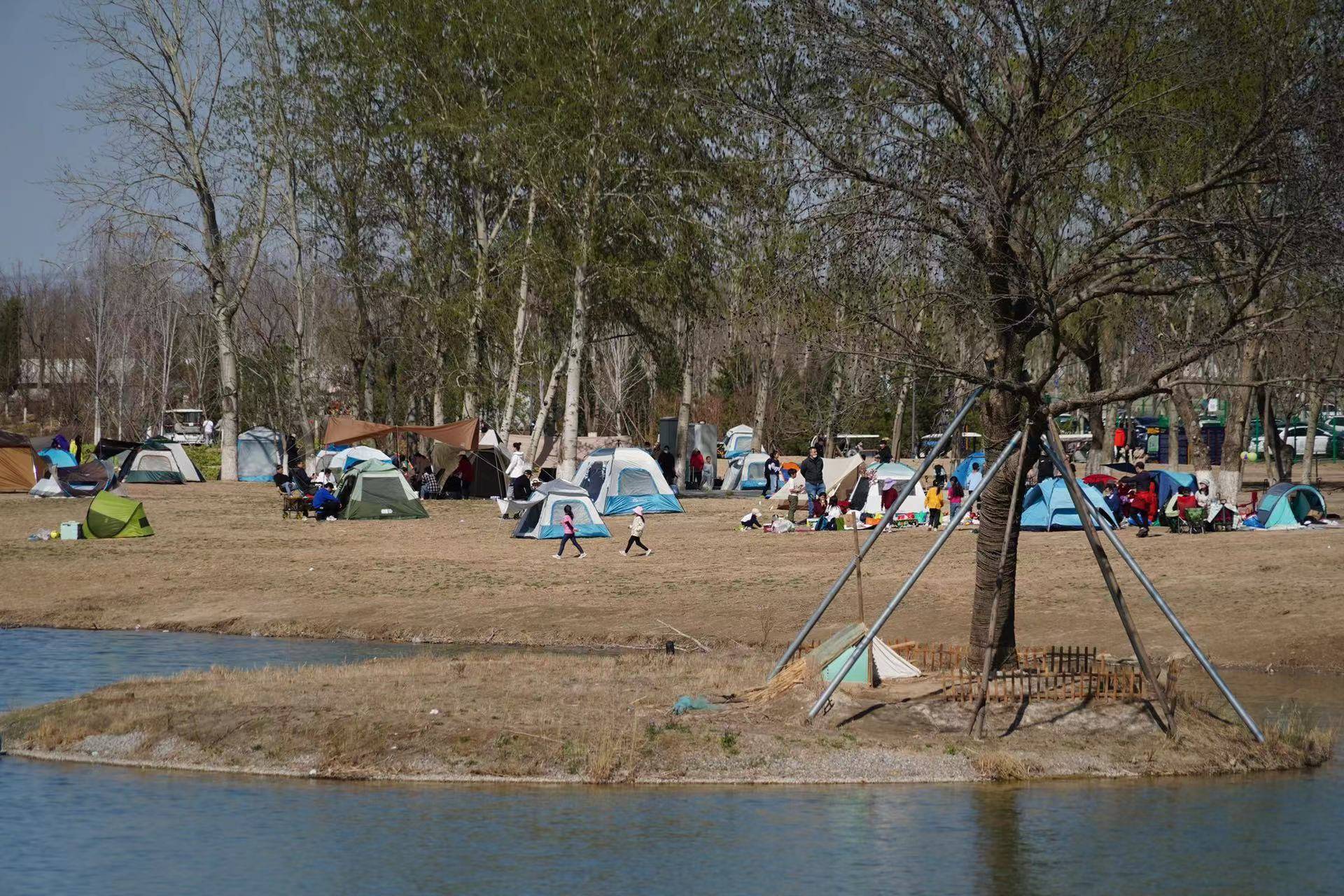 温榆河公园3万平方米帐篷营地开放,春光大好快来踏青吧_示范_柳树