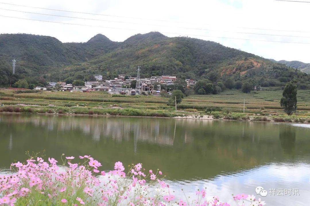 奋进新征程建功新时代米甸镇以高标准农田项目建设为乡村振兴蓄势赋能