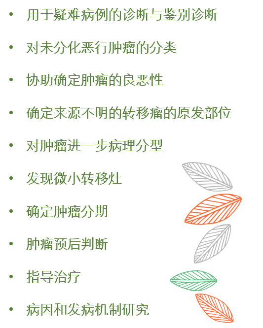 再次来医院病理科工作人员仅需将患者前期送检标本,经石蜡包埋后切片