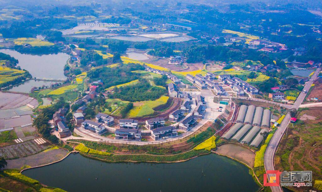 贡井区麻柳村将小微权力关进制度笼子