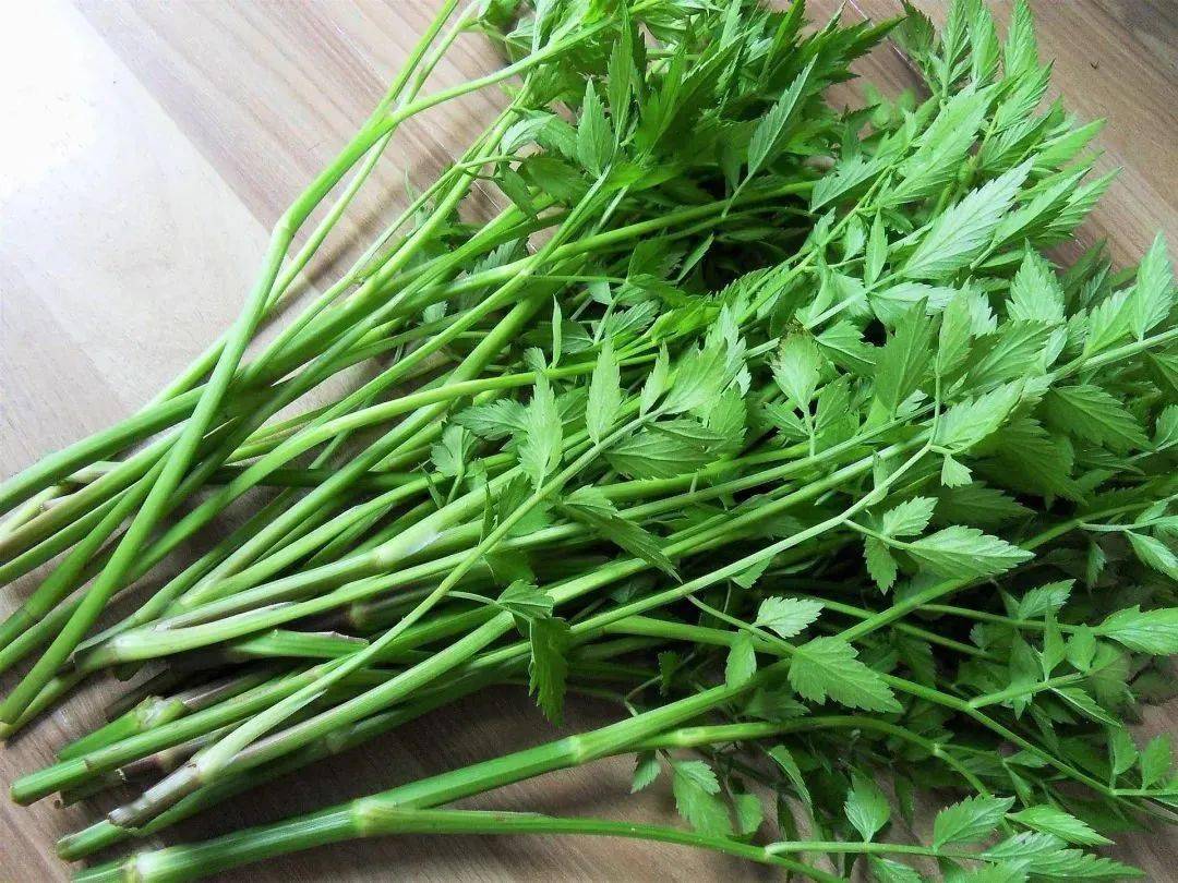 水芹菜的成分中,含有芸香苷,水芹素和檞皮素等,其嫩茎及叶柄质鲜嫩