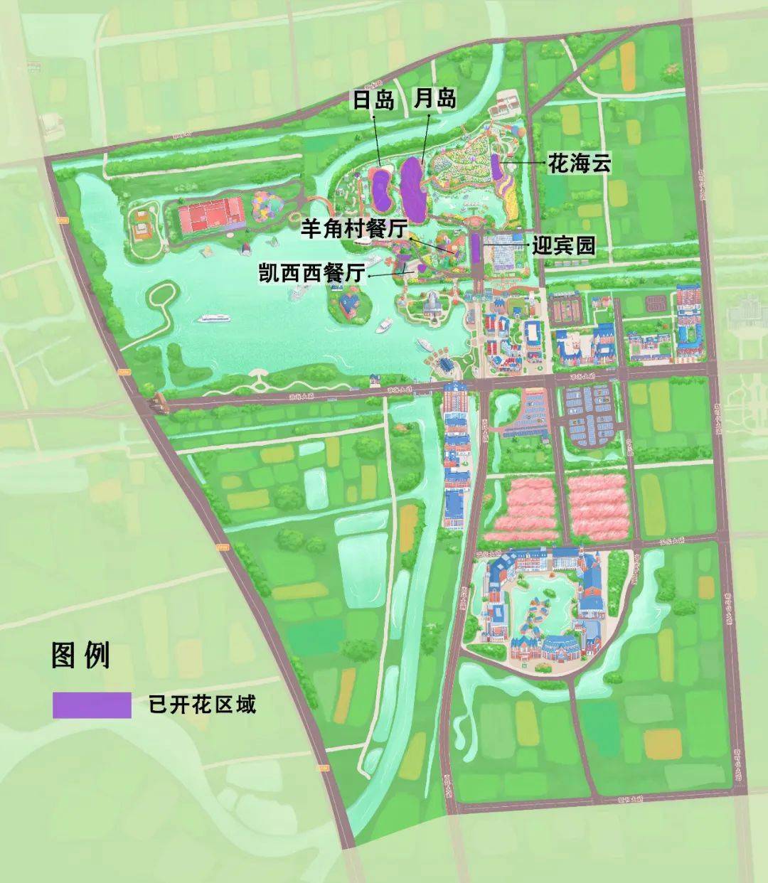 中荷建交50周年特别花展在江苏盐城大丰荷兰花海圆满揭幕