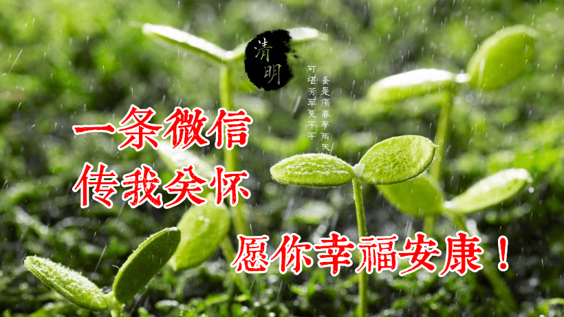 4月5日清明节早上好动态表情图片大全清明早上好问候语句子