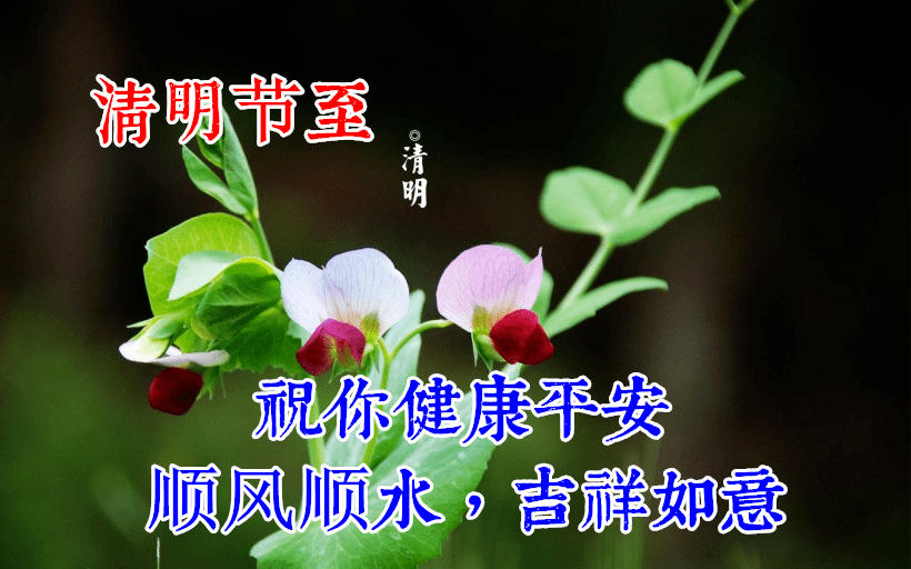 4月5日清明节早上好动态表情图片大全 清明早上好问候语句子 时节 心情 哀思