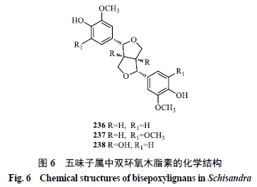 木脂素八百方图片