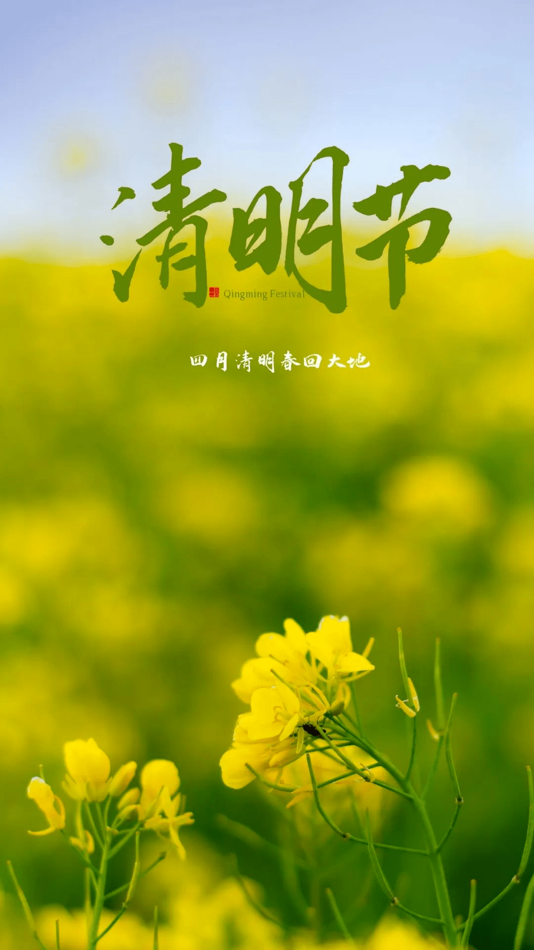 愿另一个世界,清明雨落,思念成疾.5.梨花飘雪,年年如复,岁岁思亲.