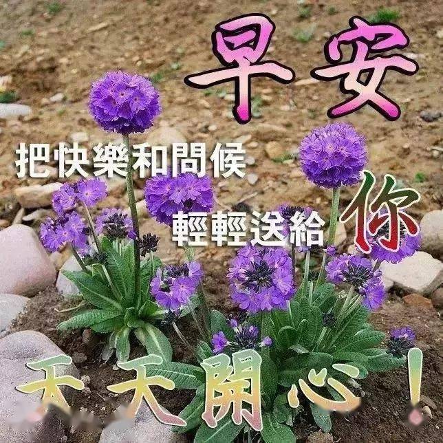 早安祝福美图早上好问候句子