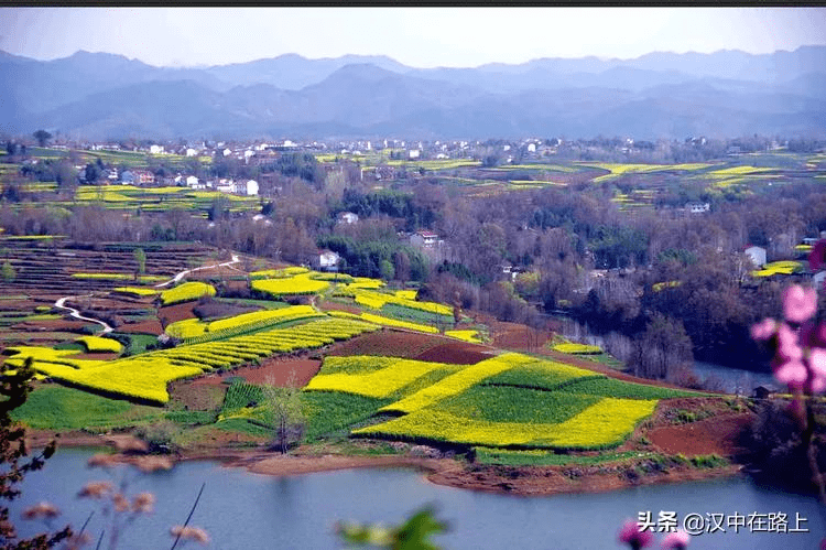 朱鹮的故乡汉中洋县观花海