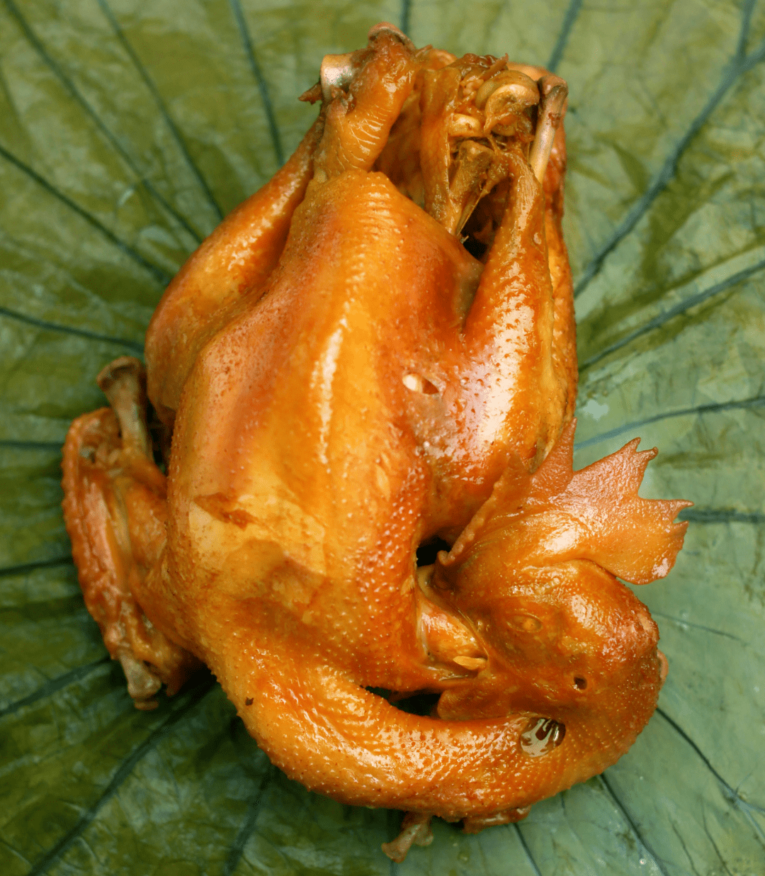 美食文化节 | 五德斋卤煮鸡——形似琵琶,色泽鲜美,食之余香满口