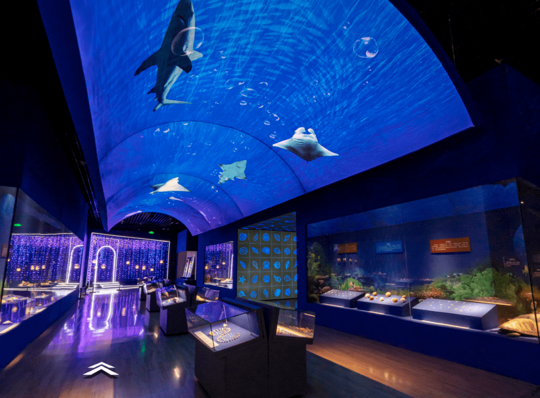 展厅深处一面精心打造的"海洋主题打卡地",在光与影的交错中将孩子们