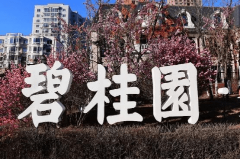 独家碧桂园原副总裁王少军接连两次离开核心部门离职后去向不明
