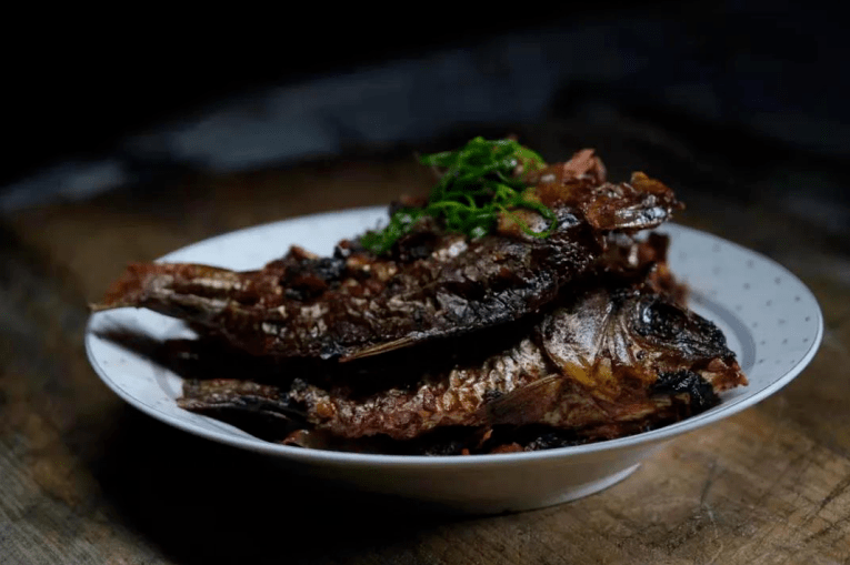 饞跟著央視味道欄目在麗水探尋畲鄉美食