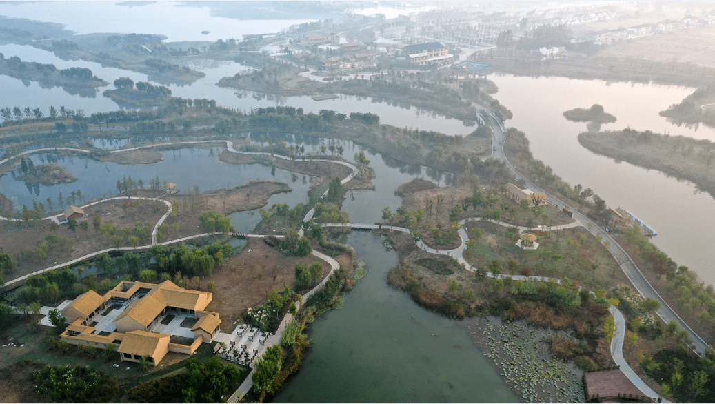 《新闻联播》聚焦的北湖湿地公园,跟着我们抢鲜看!_扬州_焦循_生态