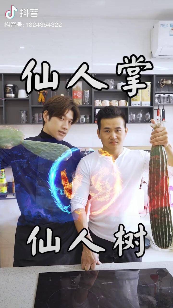 仙人掌pk仙人树 谁的仙人美食更好吃司厨真功傅 司厨明叔 superb太