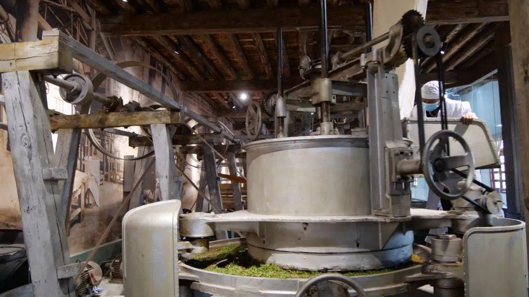 临沧茶旅凤庆茶厂见证滇红的前世今生一