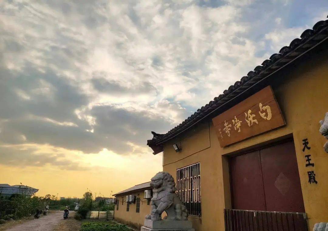 云旅游 | 全上海最低调的寺庙,就在闵行这里_白沃_净寺_净土