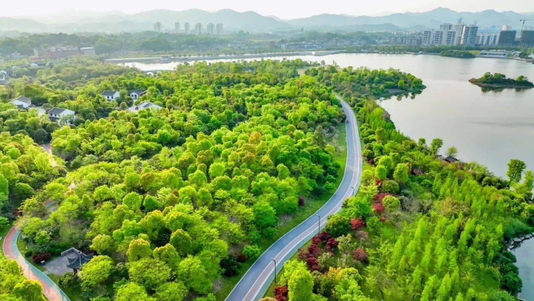 萍乡湿地公园介绍图片