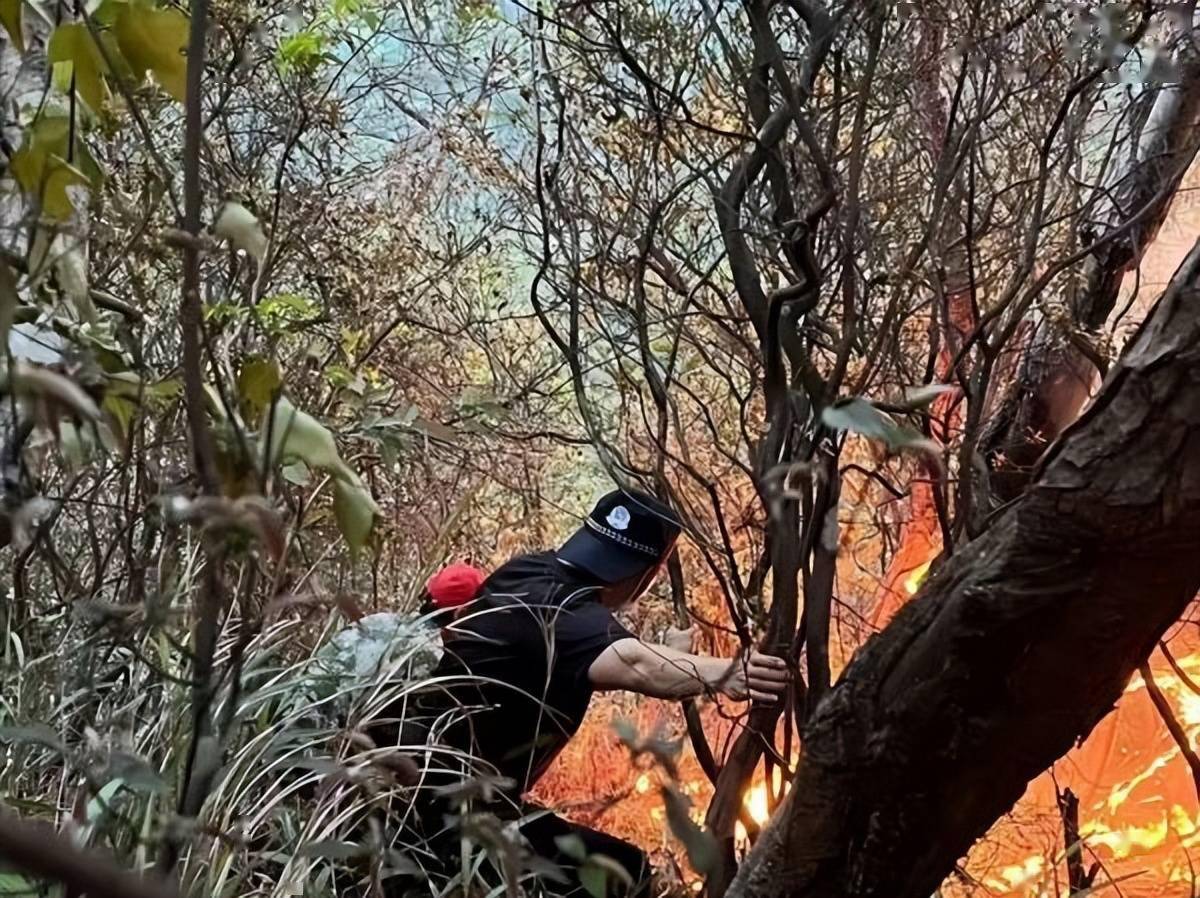 沖天炮引發山火南寧武鳴警方迅速行動抓獲一名涉嫌失火罪嫌疑人