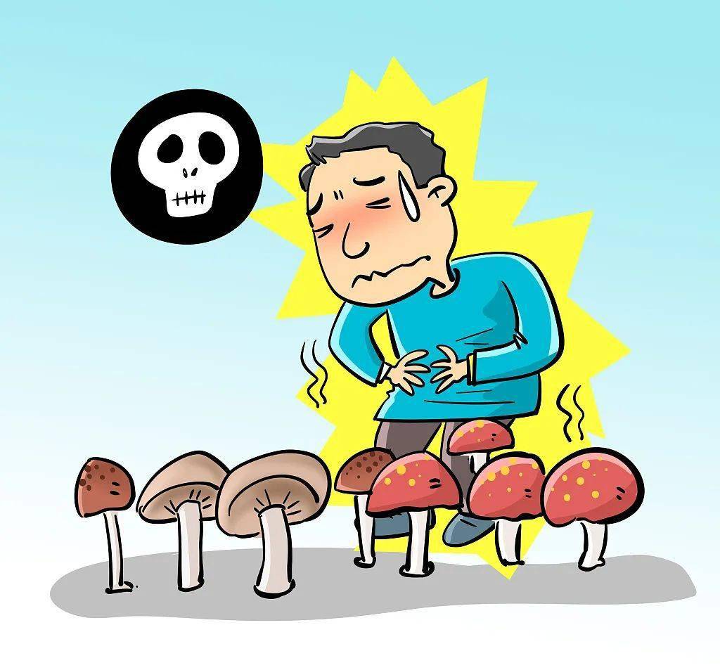 不要吃不要吃不要吃