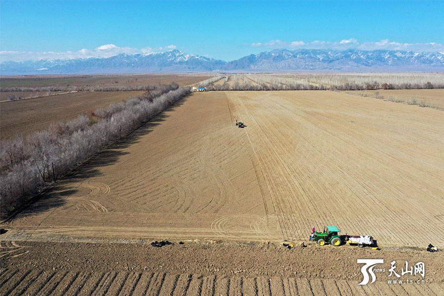 图说新疆看过这些大场面才算不负春日好时光