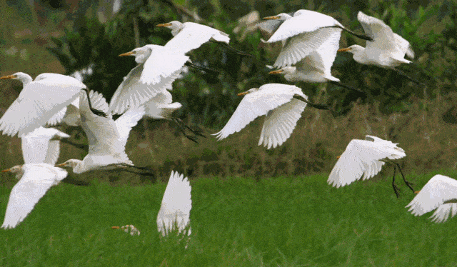 640_374gif 动态图 动图