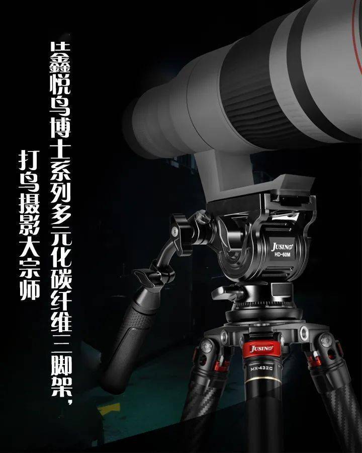 是时候给你的打鸟摄影装备升级了