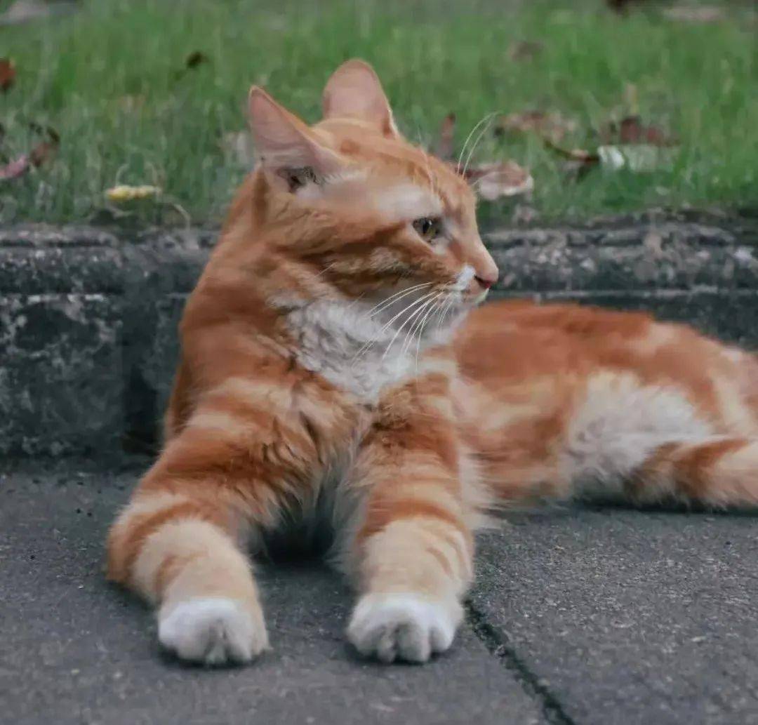 爱意东升西落浪漫至死不渝前路漫漫总有新的故事值得期待这个春天愿你