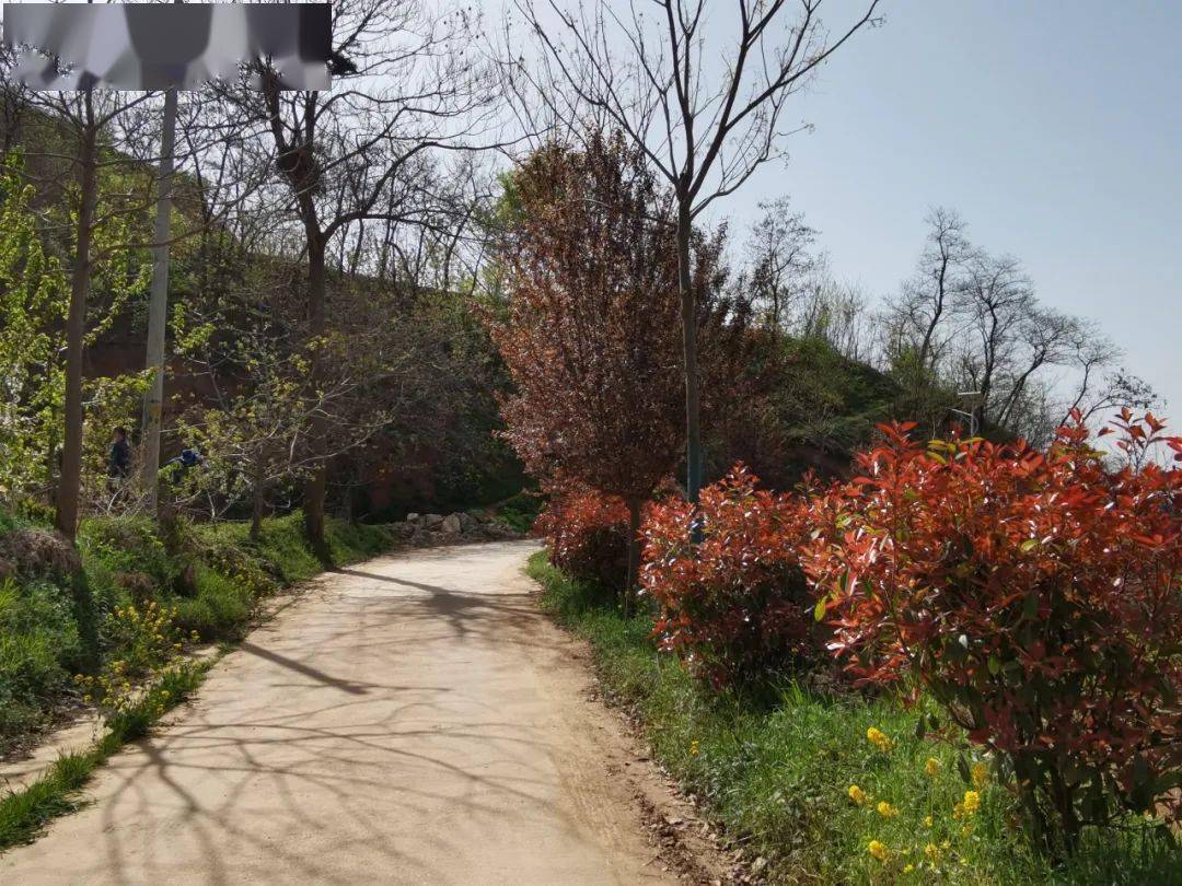 这个地方静谧人少,适合周末休闲写生_王村_蓝田县_山岭