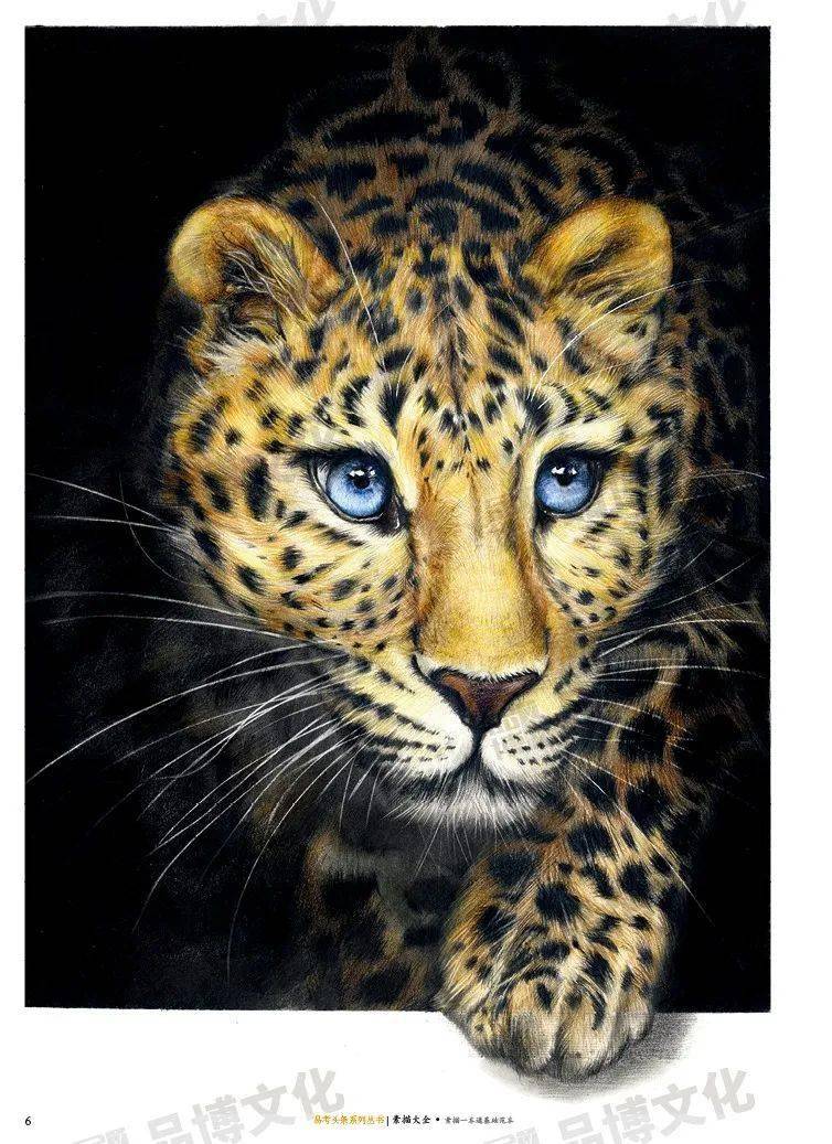 素描大全素描一本通基础范本集几何体静物石膏像头像精微素描照片于一