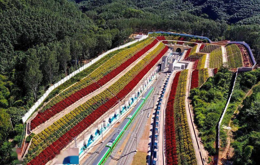 绿化_铁路_区域