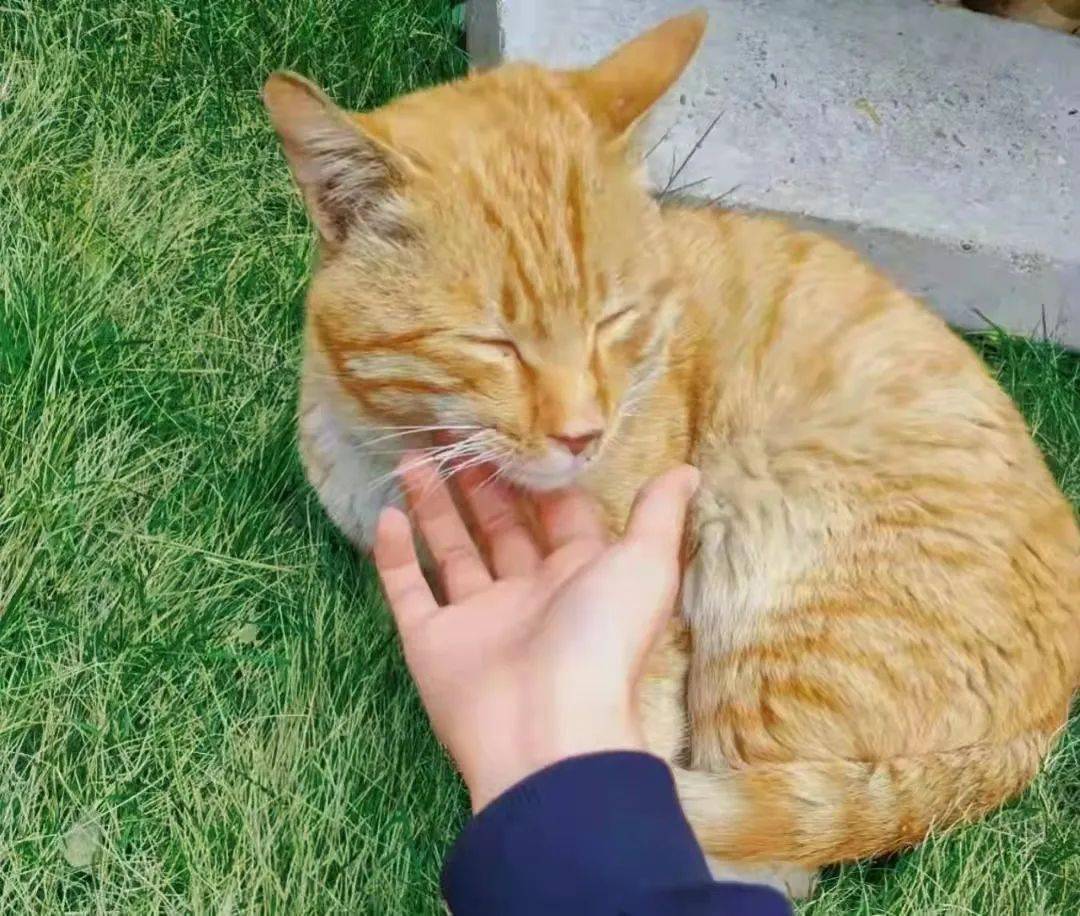 爱意东升西落浪漫至死不渝前路漫漫总有新的故事值得期待这个春天愿你