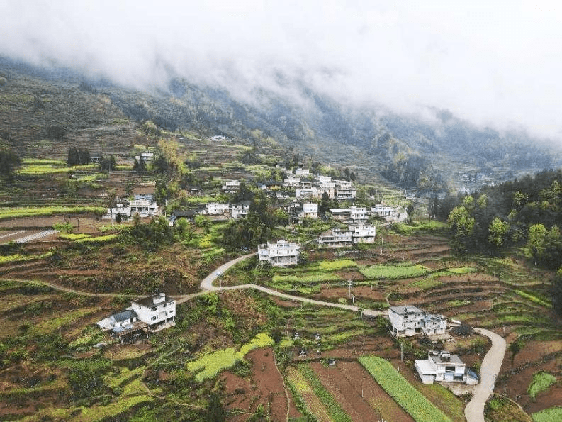 驱车前往近300公里外的彭水县鹿角镇周家村"走亲戚",开展"助力乡村