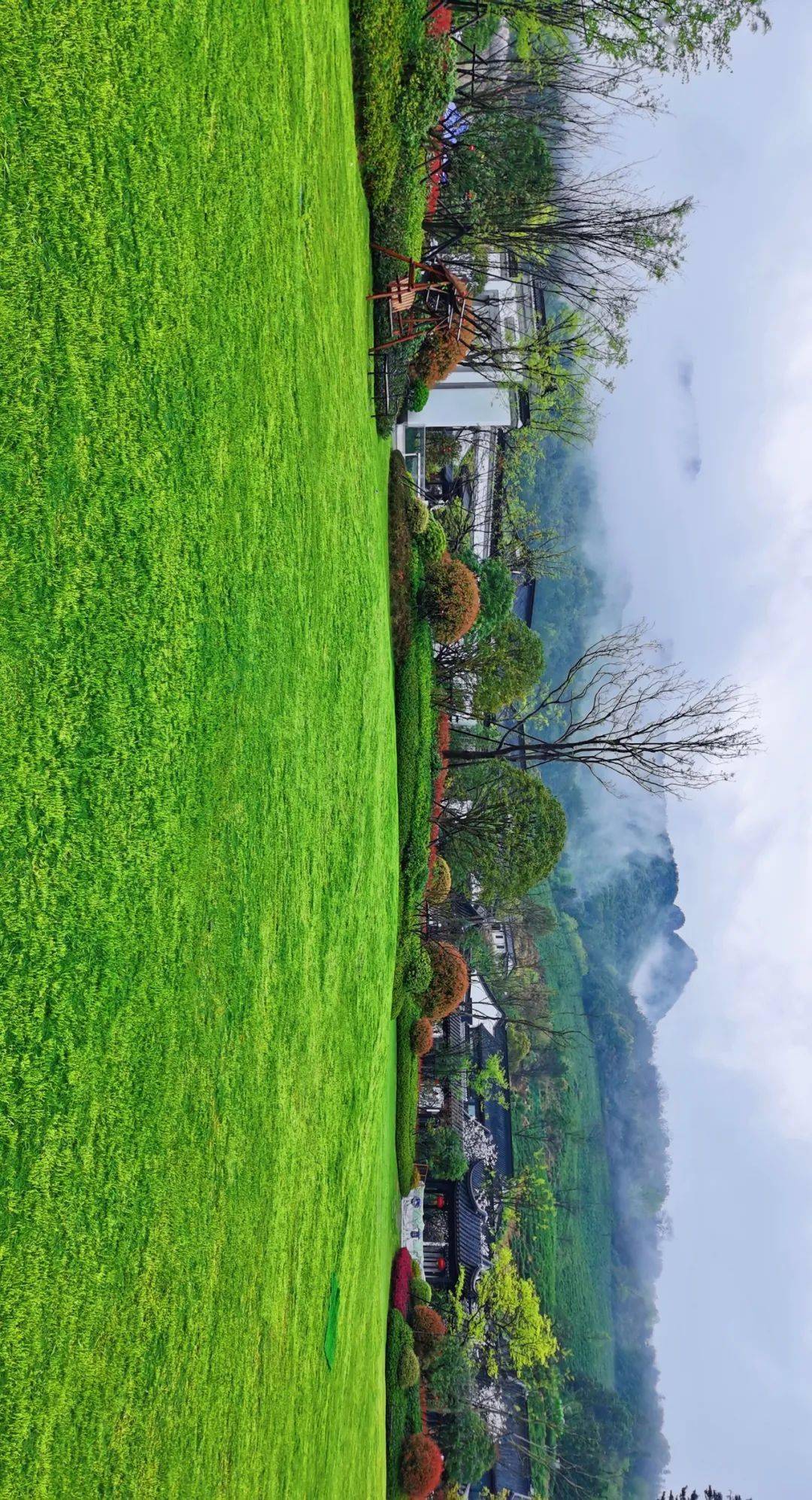 早安浦江丨诗画里