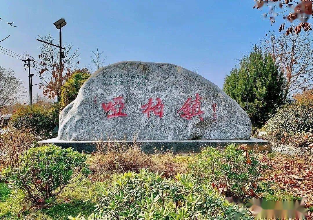 治理_建设_哑柏镇