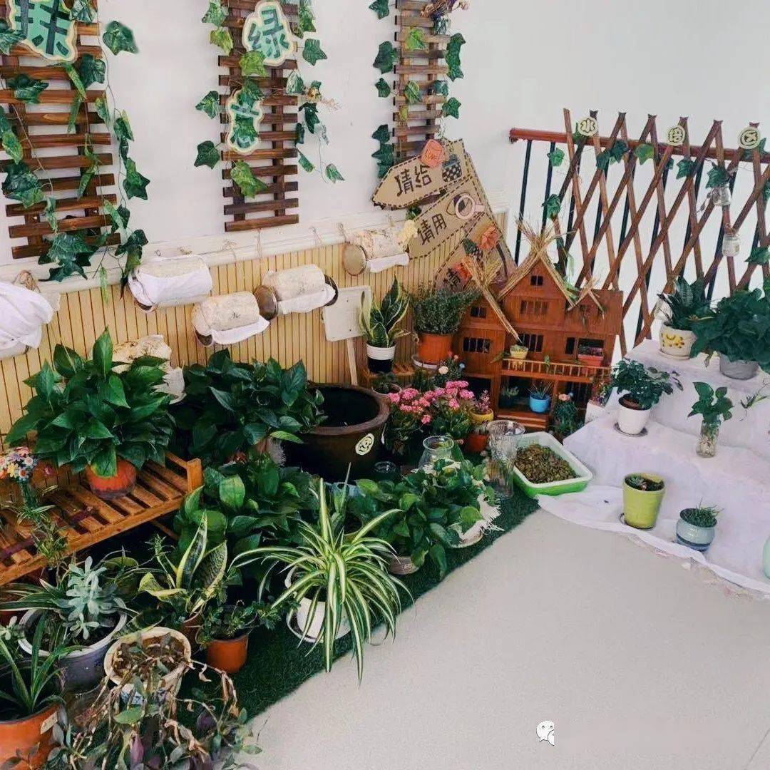 春季环创春天来了幼儿园的自然角可以这么美