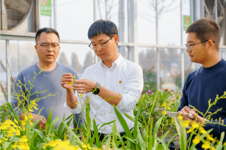 汇聚乡村产业振兴的青年榜样力量乡村振兴山东乡村好青年青春建功行动